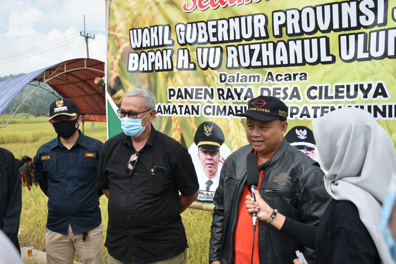 Wagub Jabar Dan Bupati Kuningan Panen Raya Dan Menanam Pohon