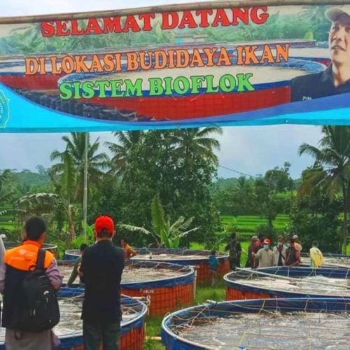 bank bjb Siap Berikan Dukungan Pengembangan Usaha Perikanan di Jawa Barat