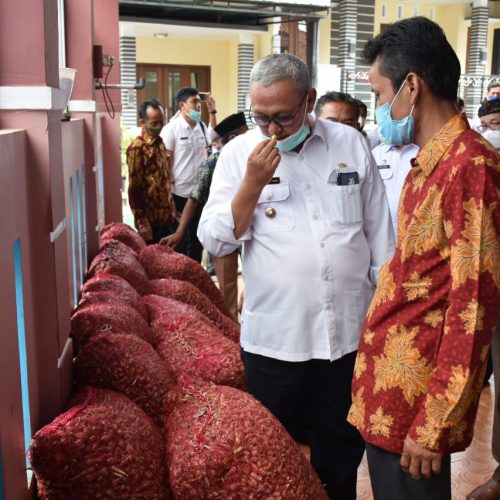 Bupati Acep Tinjau Produk Unggulan Desa Pinunjul di Desa Sukamulya