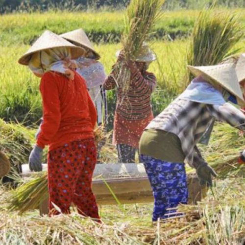 Mentan Dorong Penyaluran KUR untuk Tingkatkan Produktivitas Petani