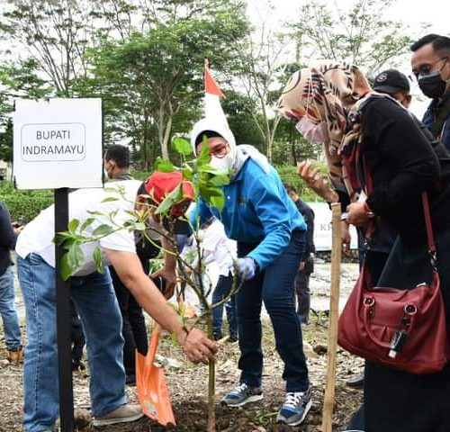 Bupati Indramayu Bersama RK Tanam 10 Juta Bibit Pohon
