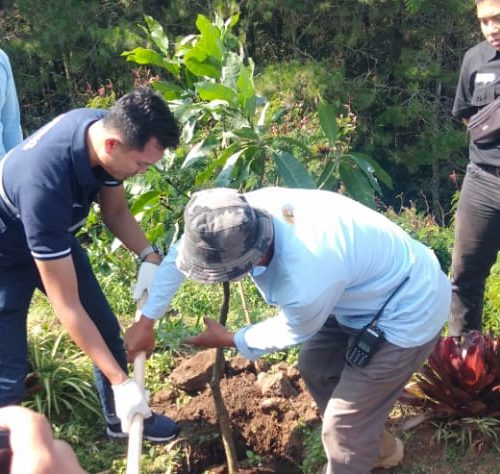 Antam Tanam Ratusan Pohon di Aerowisata Cisantana