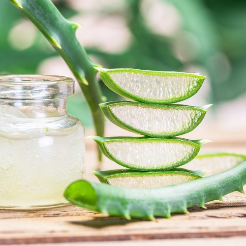 Inovasi Aloevera sebagai Jelly yang Kaya Manfaat