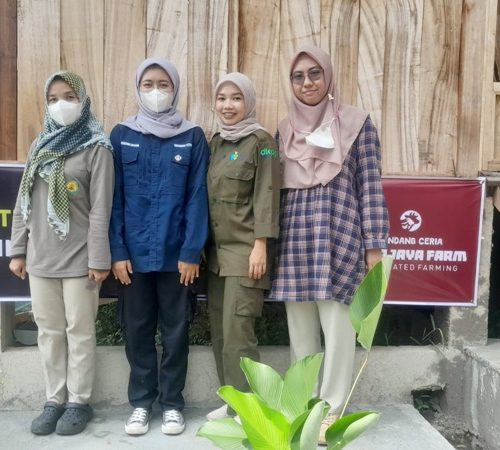 Yuk Mengenal Tugas 4 Srikandi di UPTD Puskeswan Luragung yang Siap Siaga Mengawal Kesehatan Hewan Ternak